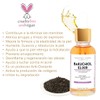 Bakuchiol Elixir Fito Retinol Elimina Manchas Y Arrugas 35ml