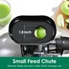 Slow Masticating Juicer,Brecious Cold Press Juicers with 2 Speed Modes