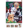 MasterPieces 300 Piece EZ Grip Jigsaw Puzzle - Fluffy Fuzzballs