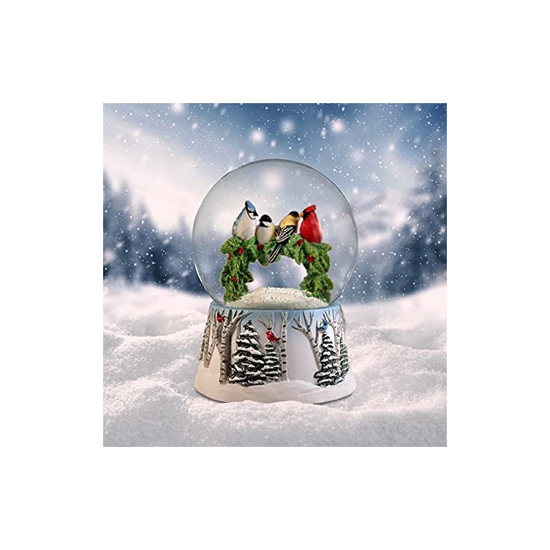 Multi Birds on a Wreath Water Globe San Francisco Music