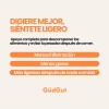 Gudgut Enzimas Digestivas De Amplio Espectro 60 Capsulas