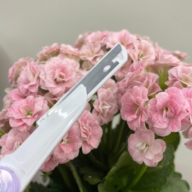 Neulsom Straight Eyebrow Razor Trimmer 3P Eyebrow Razor Eyebrow Grooming Tool