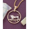 The Difference World Coin Jewelry Lion of King David Pendant