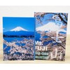 Castle Enterprise, Made in Japan, Japanese Souvenir Postcard, Mt. Fuji