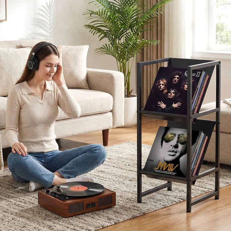 VonDream Conceptual Design Vinyl Record Storage, 2 Tier Black Metal