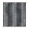 Rayten Cabin Air Filter with activated carbon Compatible withVersa/Note 2014-2020