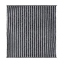 Rayten Cabin Air Filter with activated carbon Compatible withVersa/Note 2014-2020 Micra 2015-2019 NV200 2017-2021 with Activated Carbon Passenger Compartment Air Filter