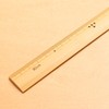 FTAKE30 Takeshaku (ruler, ruler) bamboo 30cm notation piece with gutter