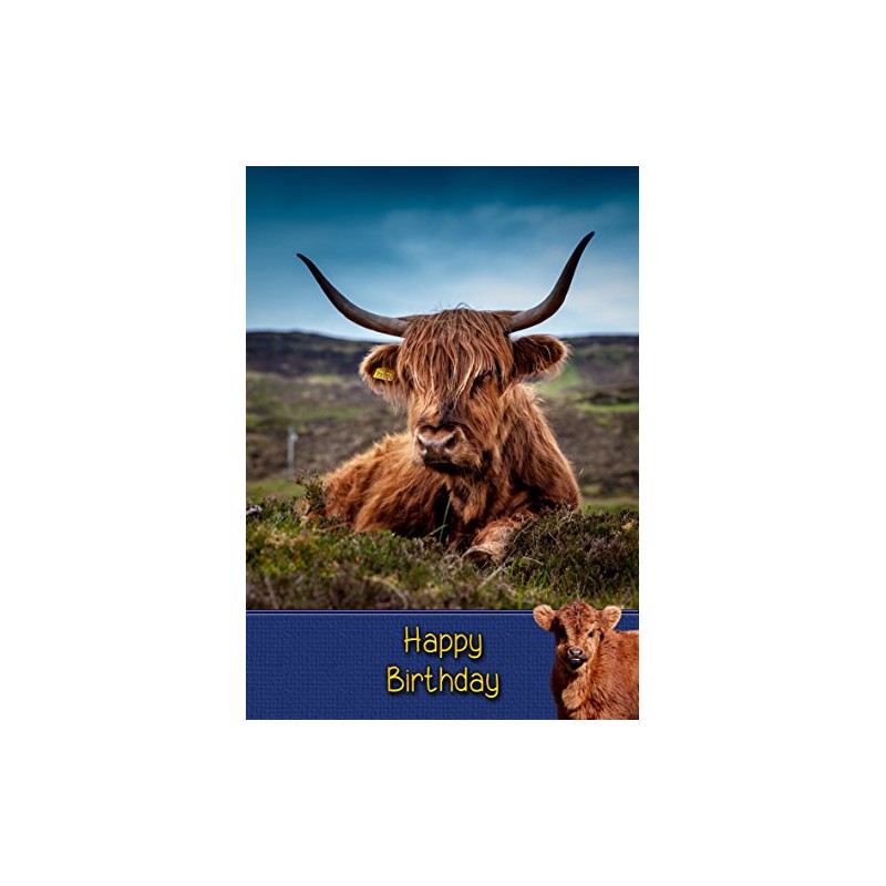 Cow/Highland Cow Birthday Card