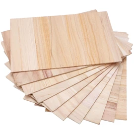 SEWACC 10pcs Versatile Taekwondo Breaking Boards Lightweight Performance Planks for Martial Arts Training and Demonstration for Boys and Girls and Adults Safe for Practice