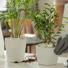 GASPRO 2.5 Pound Pebbles for Indoor Plants, 3/8 Inch Decorative
