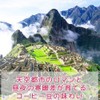 Coffee Beans, Freshly Roasted Machu Picchu Sky (Peru), No Pesticides,