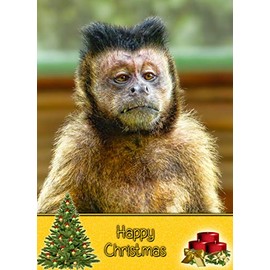 Monkey Christmas Card 'Happy Christmas' - Special Xmas Card for Him Her Kids Male Female