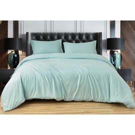 Colourful Snail Duvet Cover 3 Piece Set, Ultra Soft Double Brushed Microfiber Comforter Cover with Zipper Closure and Corner Ties, Queen, Light Blue (Comforter Not Included)