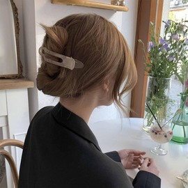 Iaceble Large Alligator Hair Clips Matte Duckbill Clip Hairclaw French Acrylic Hairclip Barrette Apricot Plastic Flat Hair Clip Minimalist Ponytail Hairclip Decorative Hair Accessories for Women