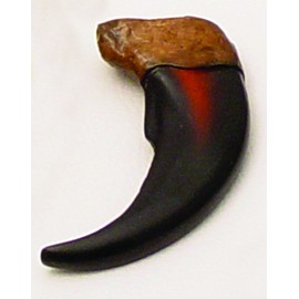 Bear Claw Replica