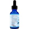 Absonutrix French Maritime Pine Bark Extract 590 mg, 4 Fl