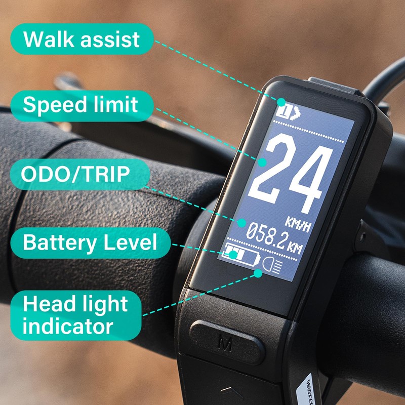 E-Mangue Ebike LCD Display SW102 for Bafang BBS01B BBS02B BBSHD