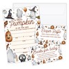ZEDEV Deluxe Baby Shower Invitations 25 Sets, A Little Pumpkin