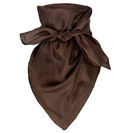 Wyoming Traders Solids Silk Scarf, Chocolate, Extra Large, 42x42 (SXCH)