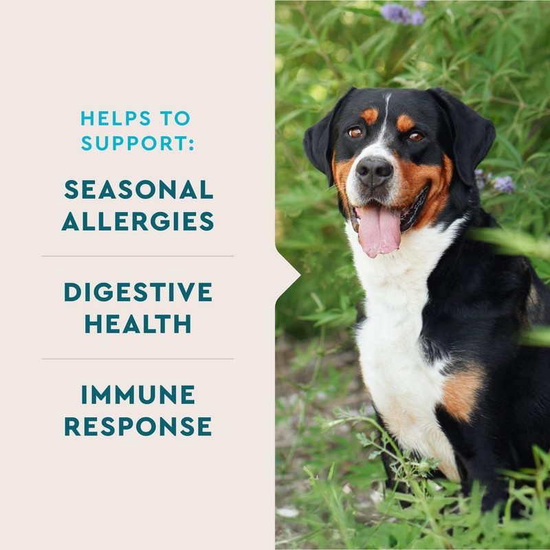VetIQ Allergy Pro+ Soft Chews for Dogs, 60 Count, Seasonal