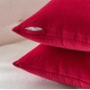 MIULEE Pack of 2 Christmas Decorative Velvet Throw Pillow Cover
