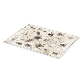 Insects II Poster by Mike Koubou 20 x 30 cm Wall Pictures Wall Decoration