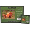Set Of 4 Highland Cow On Moors Scene Dinner Place