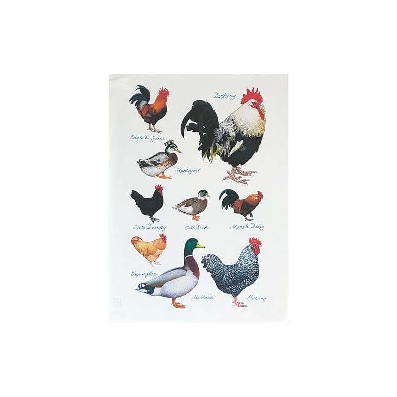 Half a Donkey Ducks and Hens Large Cotton Tea Towel