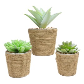 Ebros Gift Set of 3 Staggered Sizes Realistic Artificial Botanica Succulents Plant in Jute Wrapped Tin Pots Faux Plants Leaf Succulent Home Garden Verandah Office Table DIY Arrangements