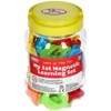 My 1st Magnetic Learning Set