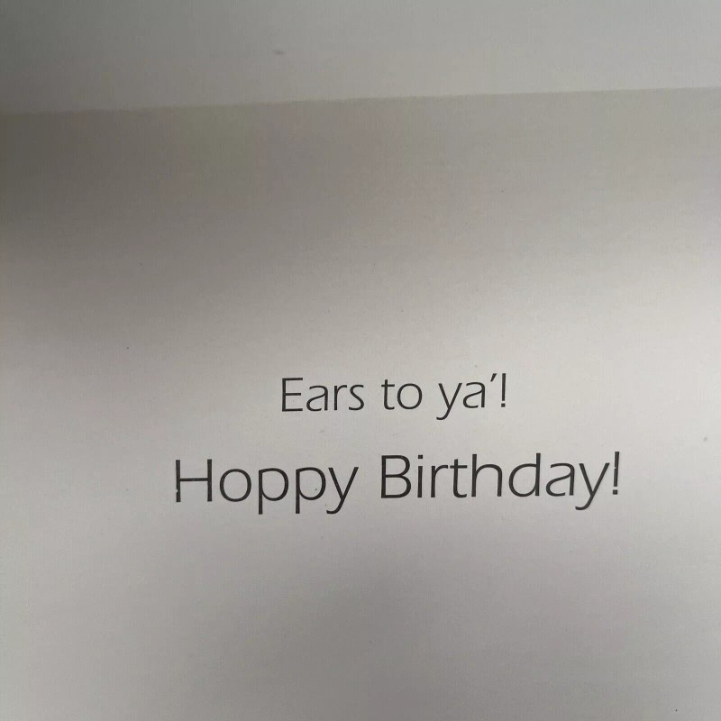 Leanin’ Tree Leaning Tree Birthday Card BDG27036 Rabbit in Happy