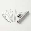 Portable Stainless Steel Toothpick for Oral Care 7-piece Set / Restocked 2ea