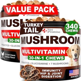 Paquete de 2 hongos de cola de pavo para perros, 340 masticables, suplemento de hongos para perros, melena de león, reishi, vitaminas multivitamínicas de apoyo inmunológico, salud de las articulaciones, energía, intestino, piel, fabricado en Estados Unidos