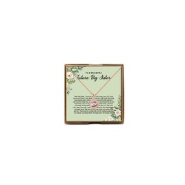 OKEYCH BigSister Announcement Gift, To a Wonderful Future Big Sister Necklace, Promoted to BigSister Gift Jewelry (Wonderful Future Big Sister N C)