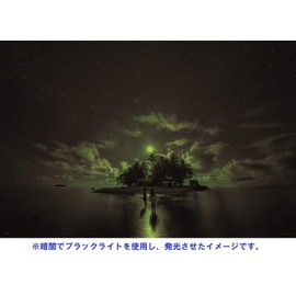 KAGAYA 1000 Piece Jigsaw Puzzle, Moonlit Night on the South Island (JEEP Island), Glowing Puzzle, 19.7 x 29.5 inches (50 x 75 cm)