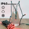 LAMPHOME 50LED String Lights,LED Christmas Lights,6" SPACING,Green Wire,RED Colour,Commercial Grade