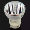 ViewSonic NEW OEM PROJECTOR LAMP BULB FOR VIEWSONIC VS13648 RLC061