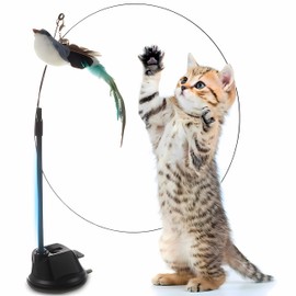 Retoo Cat Toy Self-Employment Cat Fishing Rod with Suction Cups with Bird with Feathers Cat Toy Set for Kittens and Cats Natural Interactive Intelligence Retractable Stable Durable S