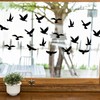 Lorzot 20 Pieces Bird Anti-Collision Window Stickers, Large Size Anti-Collision