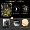 Acrylic Reptile Terrarium Easy Assembly, 360° Clear & Keep Pet