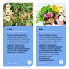 Sapientia MORFEO Suplemento alimenticio - Ingredientes 100% naturales Inositol L-Teanina