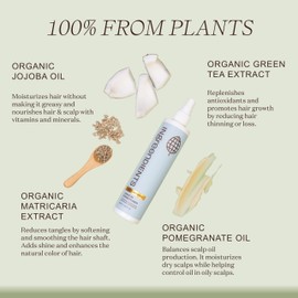 Hair Conditioner Only Parent (Leave in Detangler 2 Pack, 19.2 FL OZ (2-Pack))