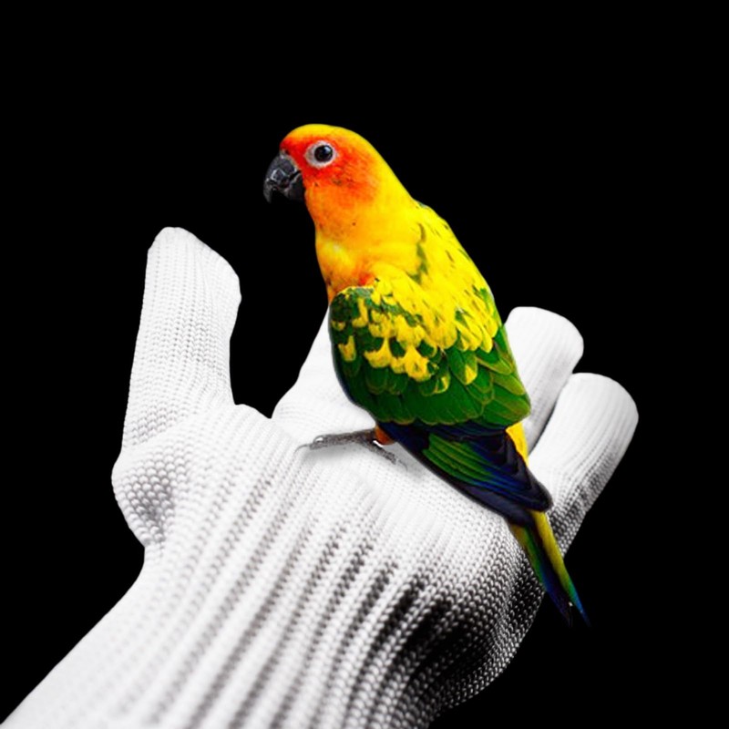 QBLEEV Bird Training Anti-Bite Gloves, Parrot Chewing Working Protective Gloves