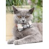 Lionet Paws Dog and Cat Collar with Bowtie Grid Collar