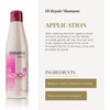 Salerm Hi Repair Shampoo 9.0 oz (250 ml)