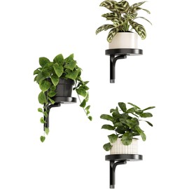 Bamworld Wall Plant Holder indoor Metal Plant Wall shelf 3 Pcs Wall Mounted Plant Holder Plant Hangers for Indoor Outdoor Decor Black