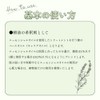 Lifestyle Sweet Almond Oil / Sweet Almond 60ml Plant Oil