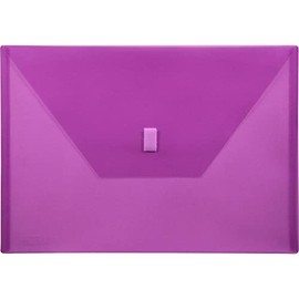 Lion Design-R-Line Poly Envelope, 9-3/8 X 13-Inch, Transparent Purple, 1 Envelope (22080-PR)