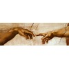(12x36) Michelangelo Buonarroti - The Creation of Adam, c.1510 (Hands